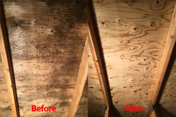 water damage restoration service Silver City